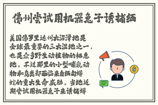 国产尺码和欧洲尺码表cctv